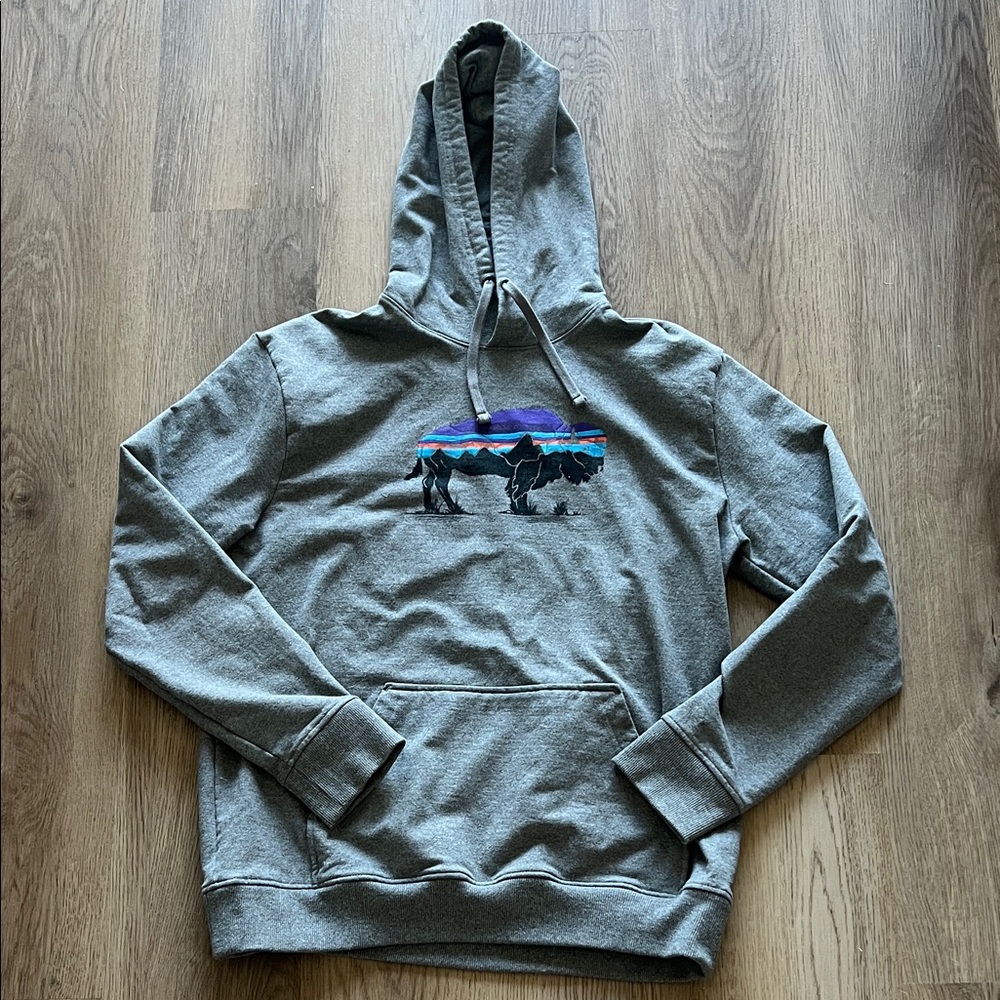 Patagonia Hoodie